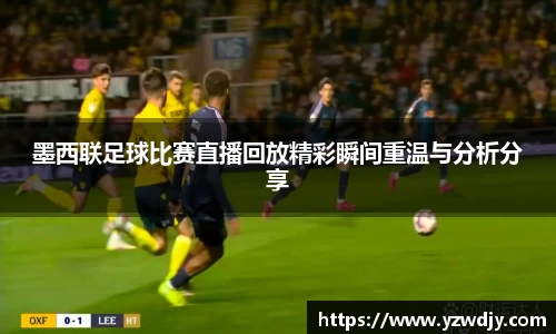 纳米体育网址