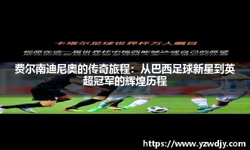 费尔南迪尼奥的传奇旅程：从巴西足球新星到英超冠军的辉煌历程