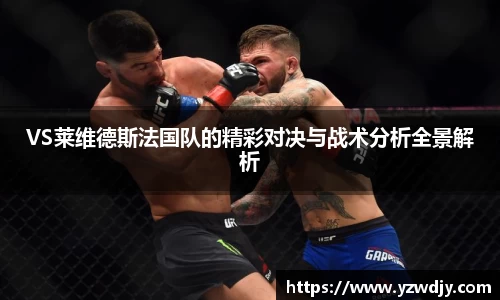 VS莱维德斯法国队的精彩对决与战术分析全景解析